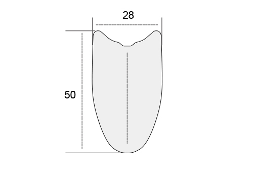 TRF50T-Carbon-28mm-Wide-Rims-Road-Bicycle-Rims-Profile.jpg