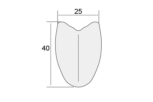 tru40s-carbon-road-bicyle-tubular-rim-40mm-deep-25mm-wide-profile.jpg