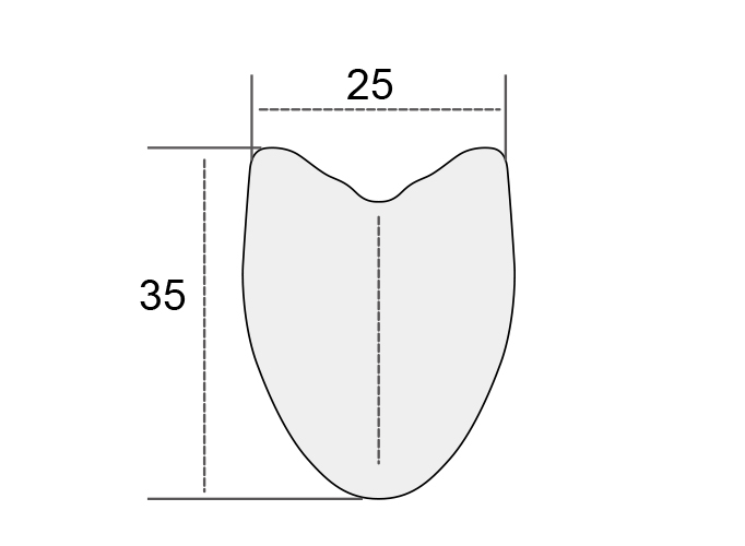 35mm-carbon-tubular-bicycle-rim.jpg